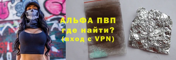 СК Зеленокумск