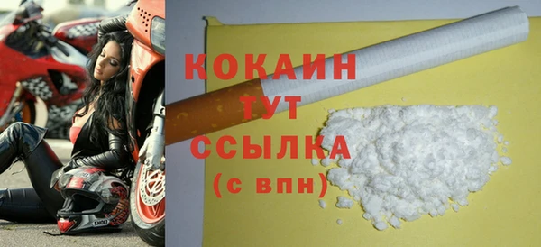 СК Зеленокумск