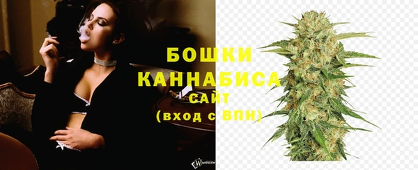 СК Зеленокумск