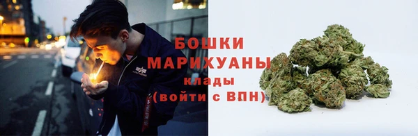 СК Зеленокумск