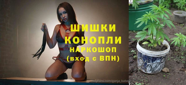СК Зеленокумск