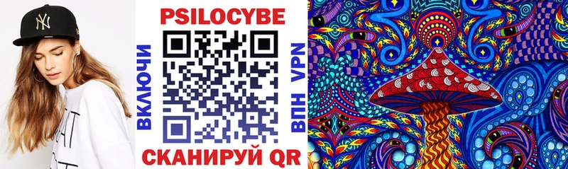 Купить закладки  Змеиногорск  Псилоцибиновые грибы MAGIC MUSHROOMS 