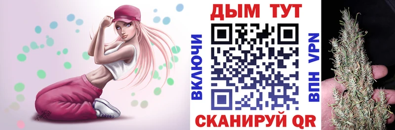 Конопля Amnesia  Купить где  Змеиногорск 